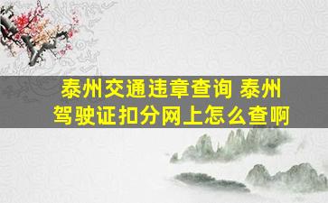 泰州交通违章查询 泰州驾驶证扣分网上怎么查啊